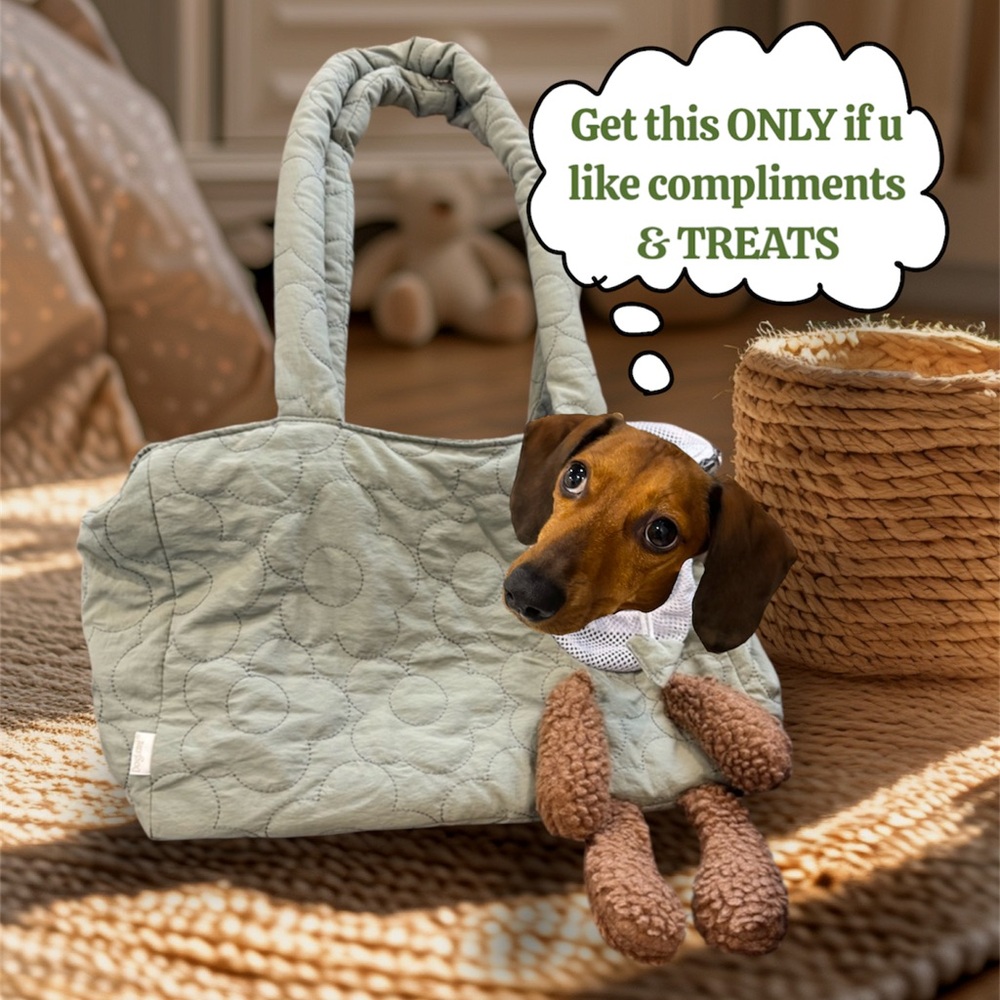 SOLD❌ Take Your Furry Baby Anywhere - Dog Cat Carrier Shoulder Bag - Picture 1 of 15